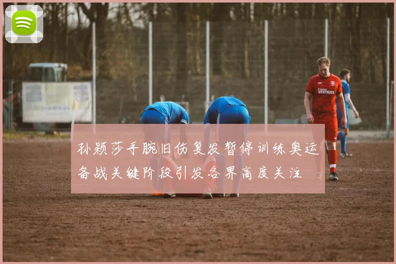 孙颖莎手腕旧伤复发暂停训练奥运备战关键阶段引发各界高度关注