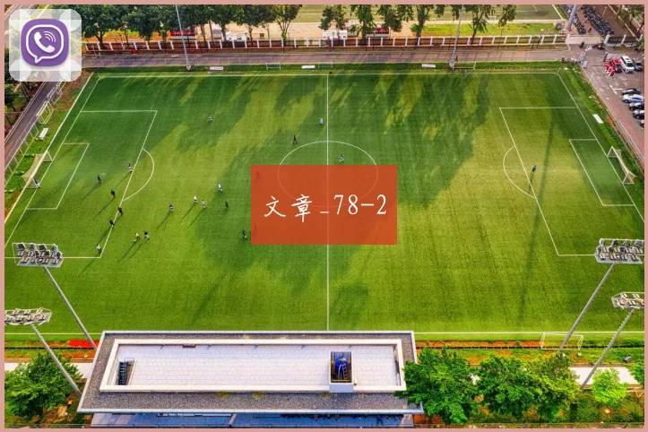 文章_78