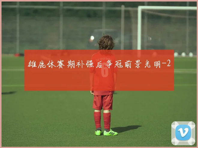 雄鹿休赛期补强后争冠前景光明