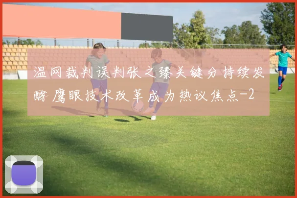 温网裁判误判张之臻关键分持续发酵 鹰眼技术改革成为热议焦点