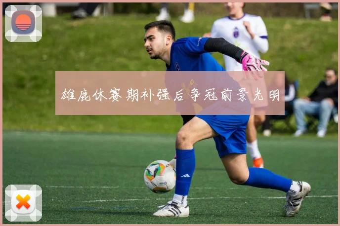 雄鹿休赛期补强后争冠前景光明